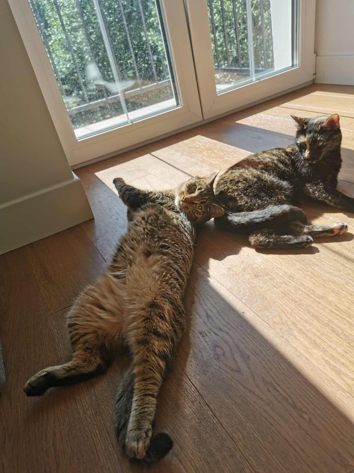 МОСКВА КОПТЕВО  60 м