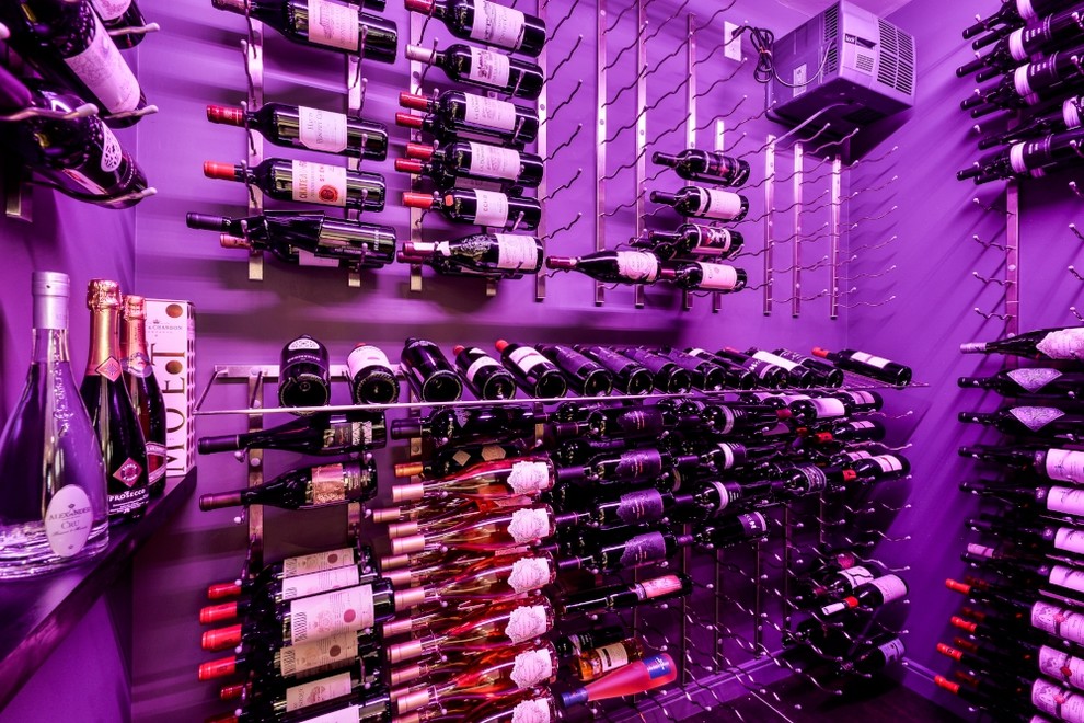 Design ideas for a mid-sized modern wine cellar in Toronto with porcelain floors, display racks and black floor.