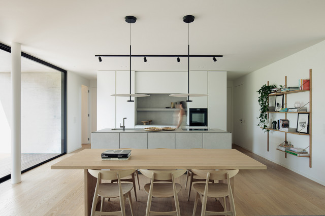 house NF modern-kitchen
