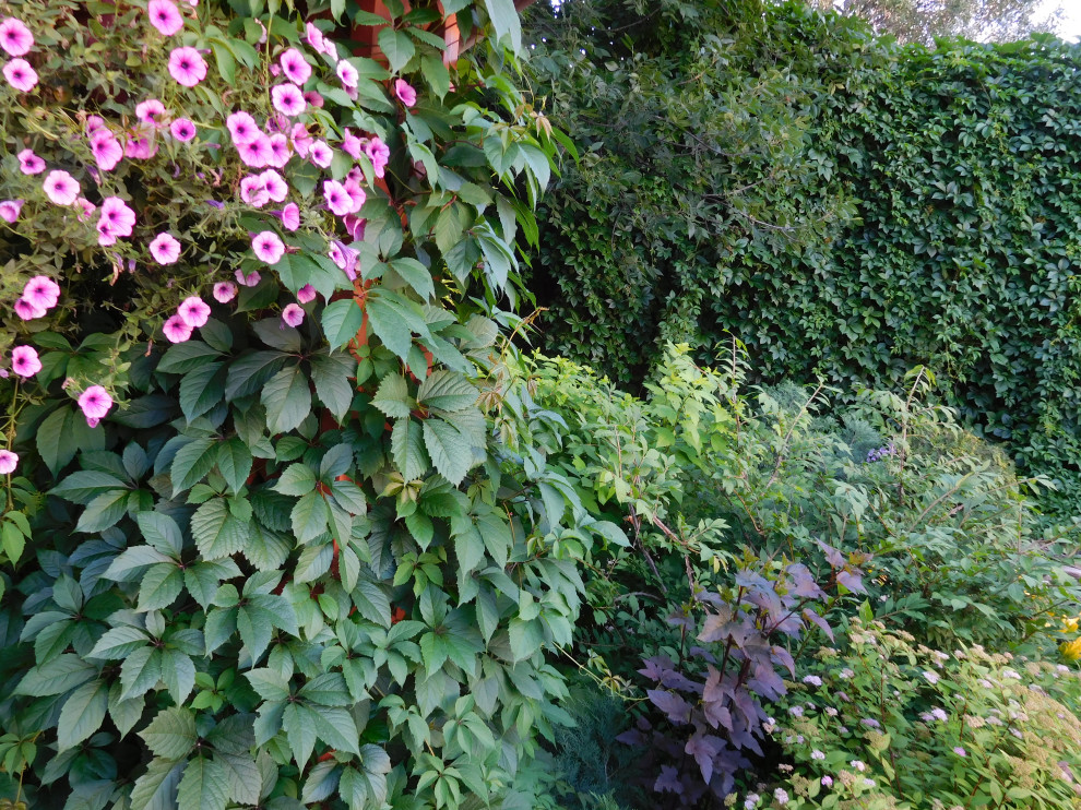 Палисадник с бетонными колодцами