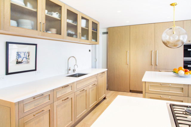 Custom Open Modern Kitchen contemporary-kitchen