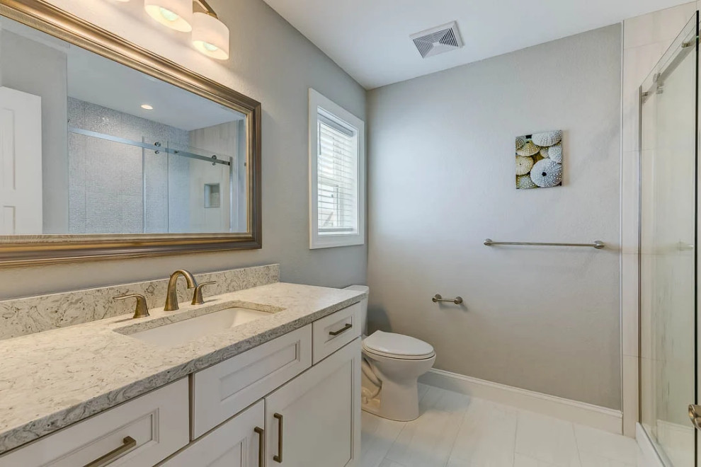 Dolphin Watch (2023)