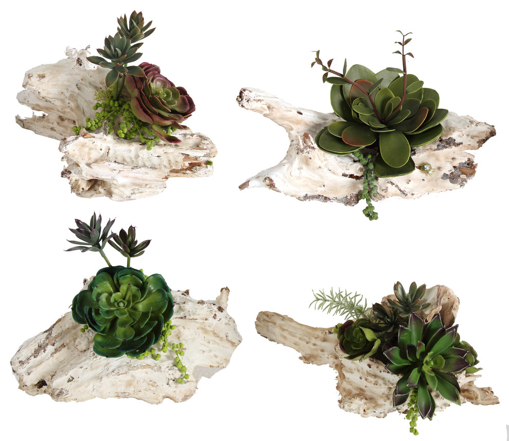 4-Piece Succulent On Wood Stand Set