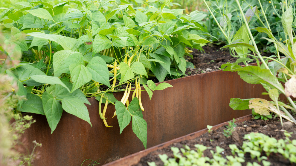 Природный сад. Жуковка XXI век. 2017-2018 гг.