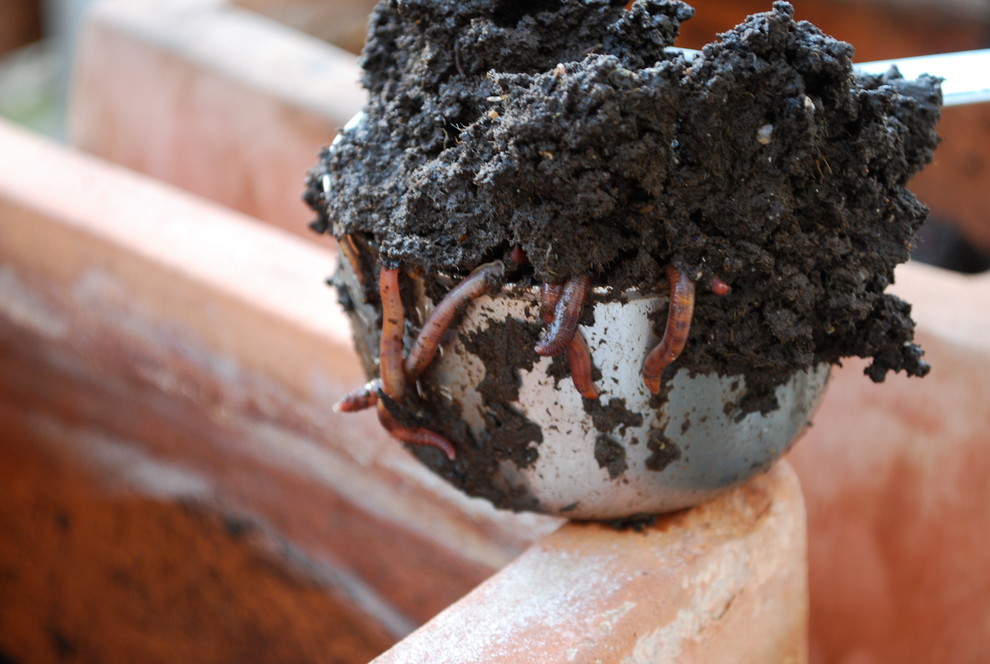 Example of an eclectic home design design in San Francisco