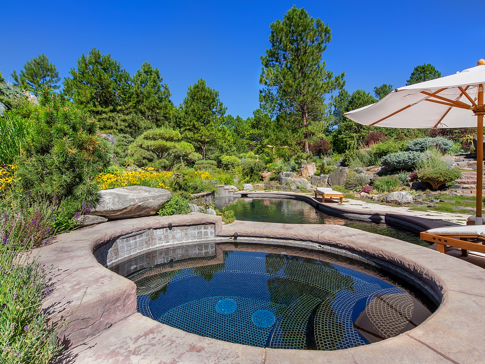 Design ideas for an asian pool in Denver with a hot tub.