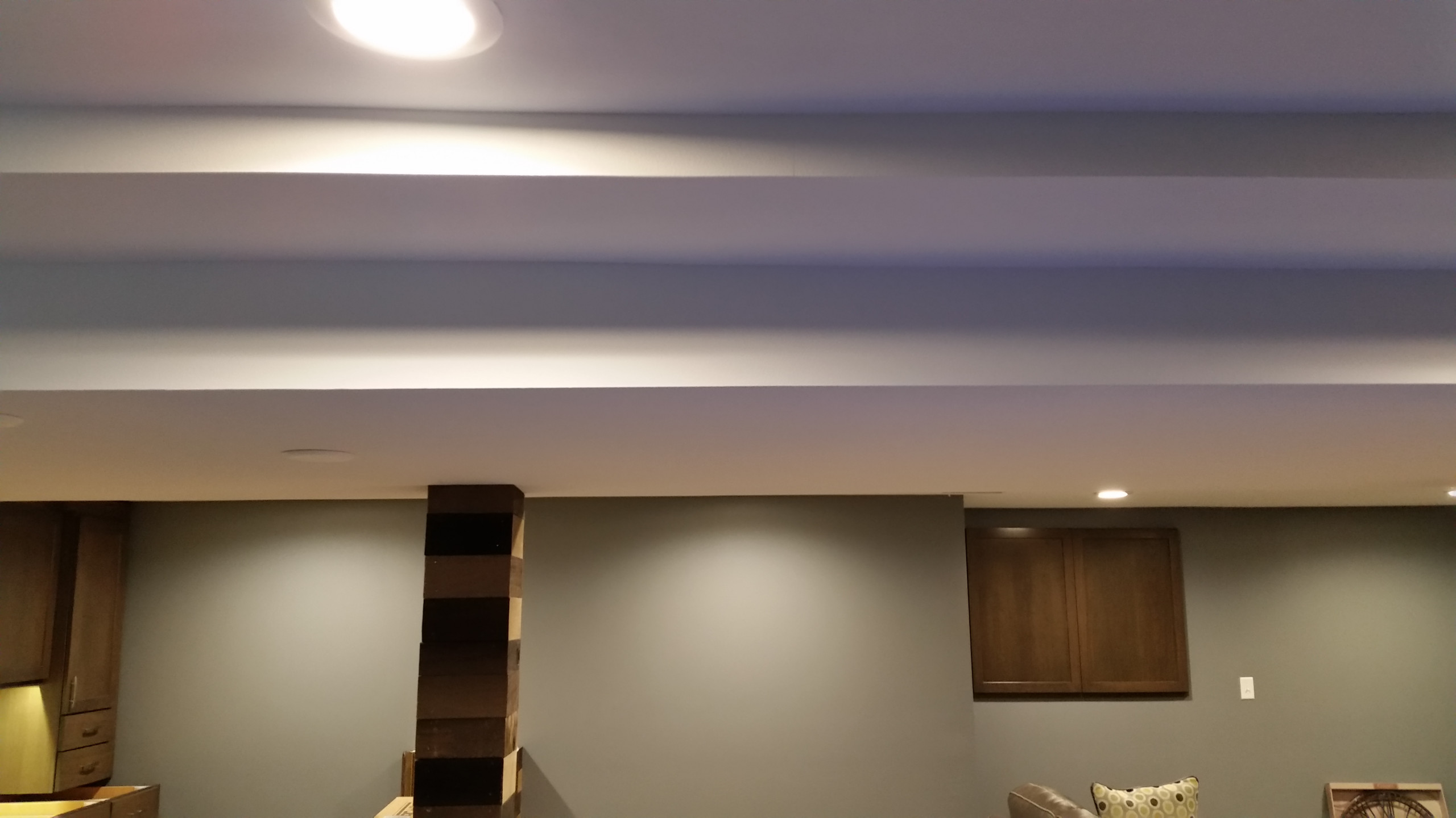 Basement rec room with custom bar and bedroom