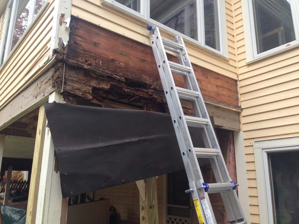 Ant Damage and Water Damage Harvard, MA