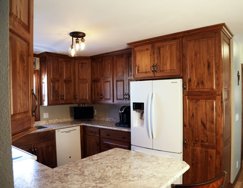 Example of a mountain style home design design in Cedar Rapids
