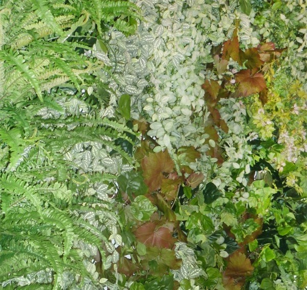 ТЦ Пассаж (Пенза)