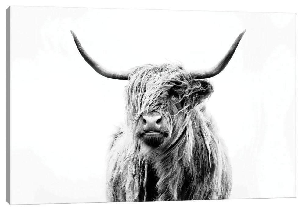 "Portrait Of A Highland Cow" by Dorit Fuhg, 12x8x0.75", Black Frame, 1pc3-12x18