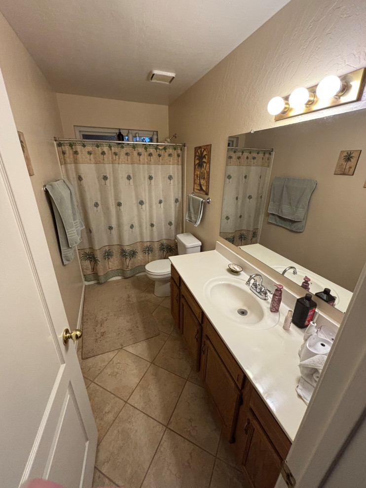 Hall Bathroom - Before