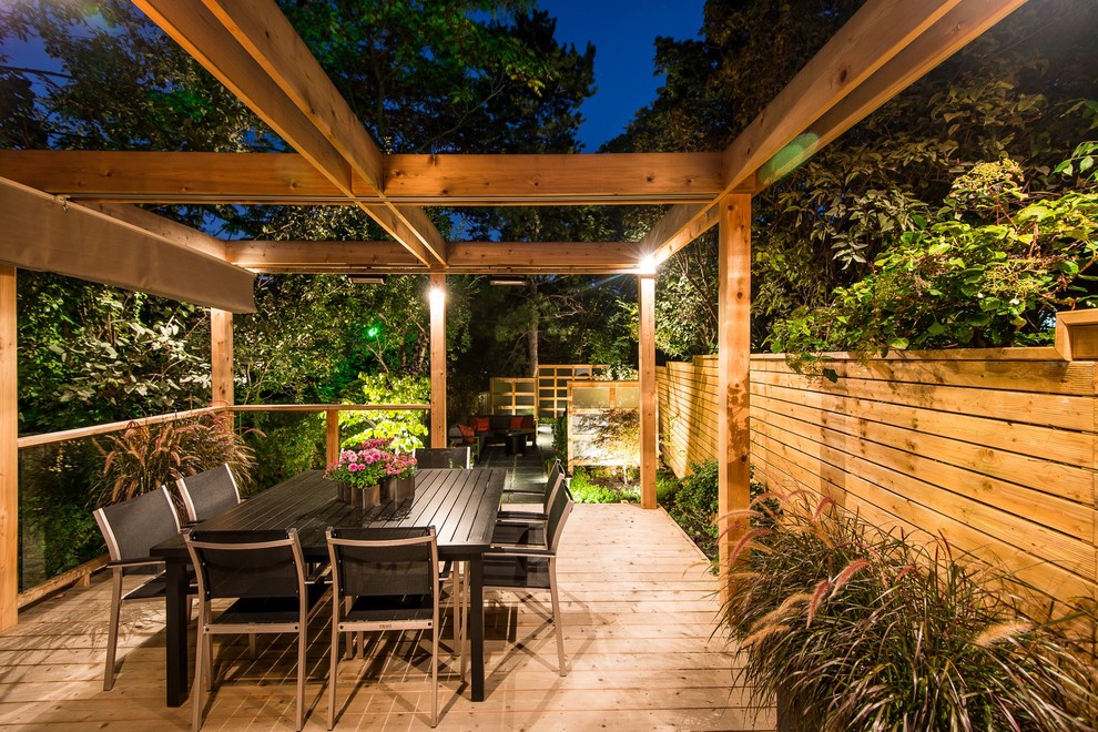 Design ideas for a mid-sized contemporary backyard deck in Toronto with a container garden and a pergola.