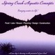 Spring Creek Aquatic Concepts