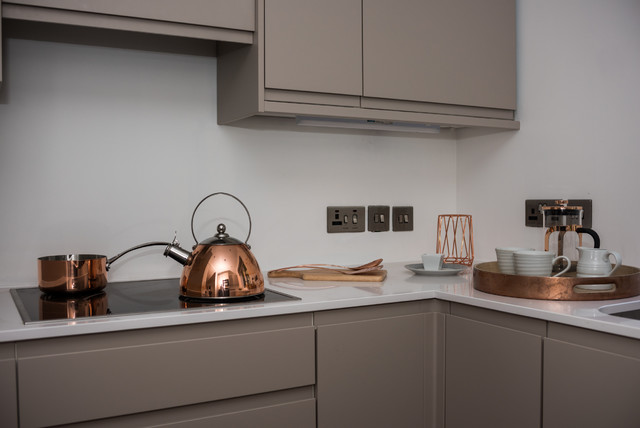 Contemporary Show Home contemporary-koek