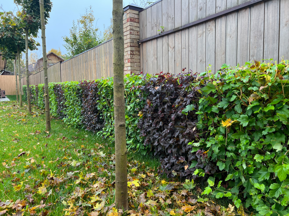 Красота в деталях