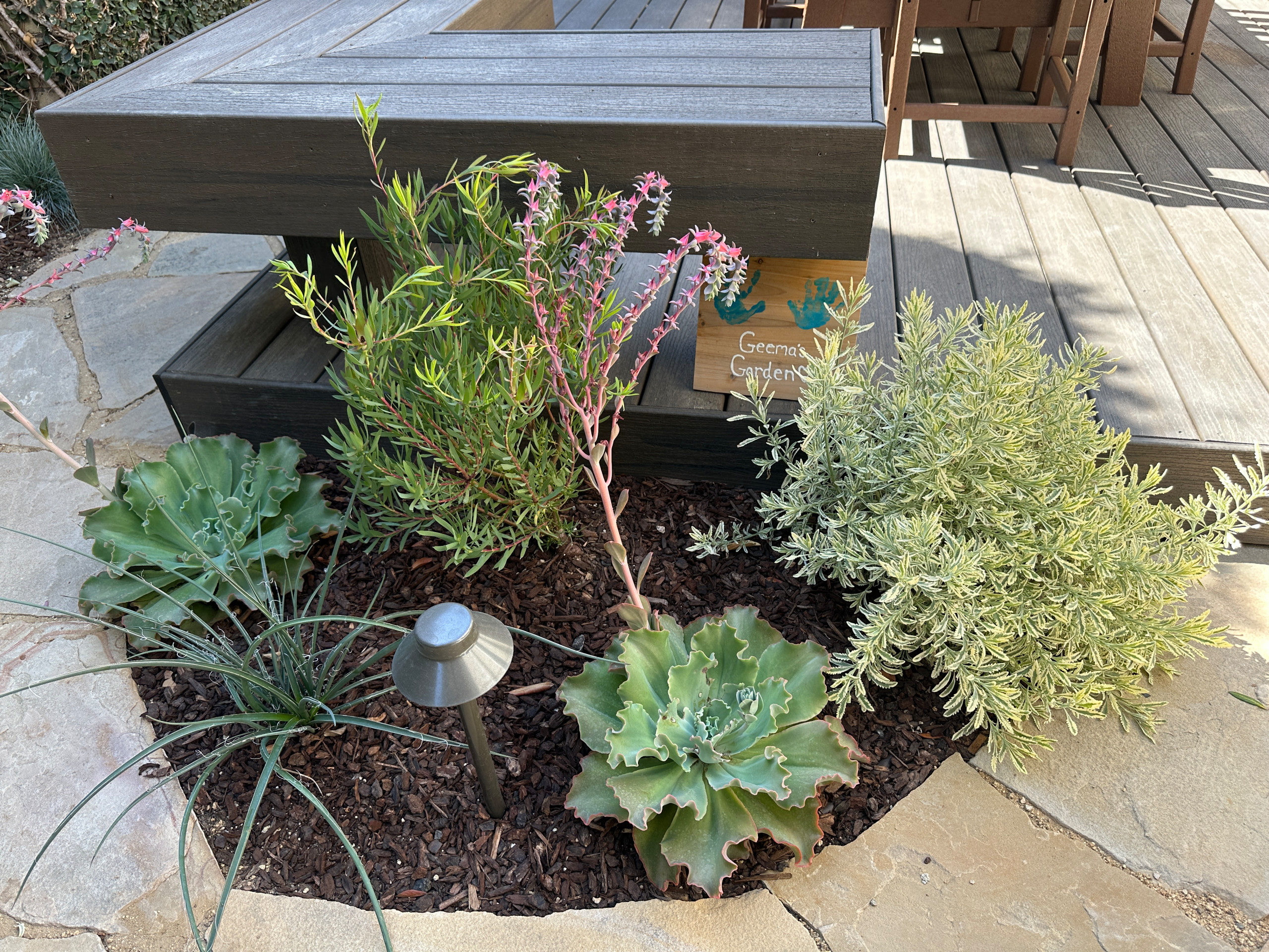 Long Beach Canals - Small Space Transformation