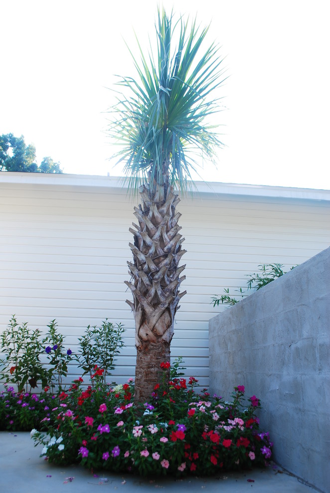 Small transitional home design photo in Miami