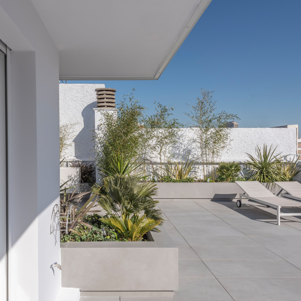 Diseño de terraza contemporánea de tamaño medio en azotea con jardín de macetas y pérgola