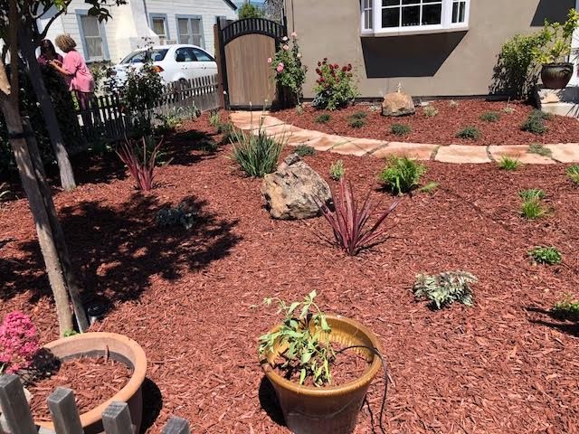 Drought Tolerant Landscaping- Front & Backyard