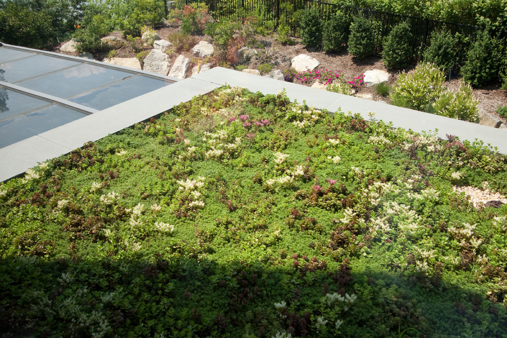 Inspiration for a modern rooftop garden in New York.