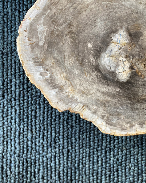 Held Home | Denver, CO | Modern Living Spaces Renovation