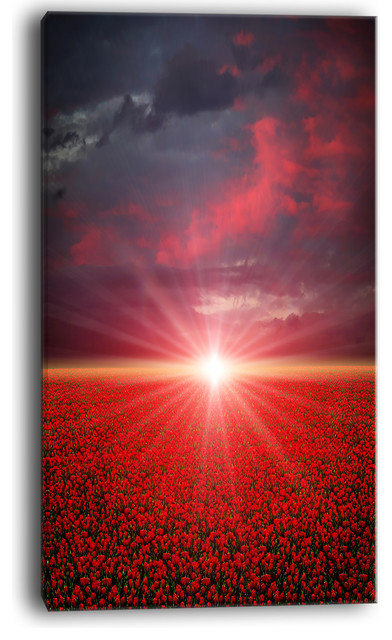 "Red Poppies Field At Sunset" Modern Landscape Wall Art Canvas, 20"x40 ...