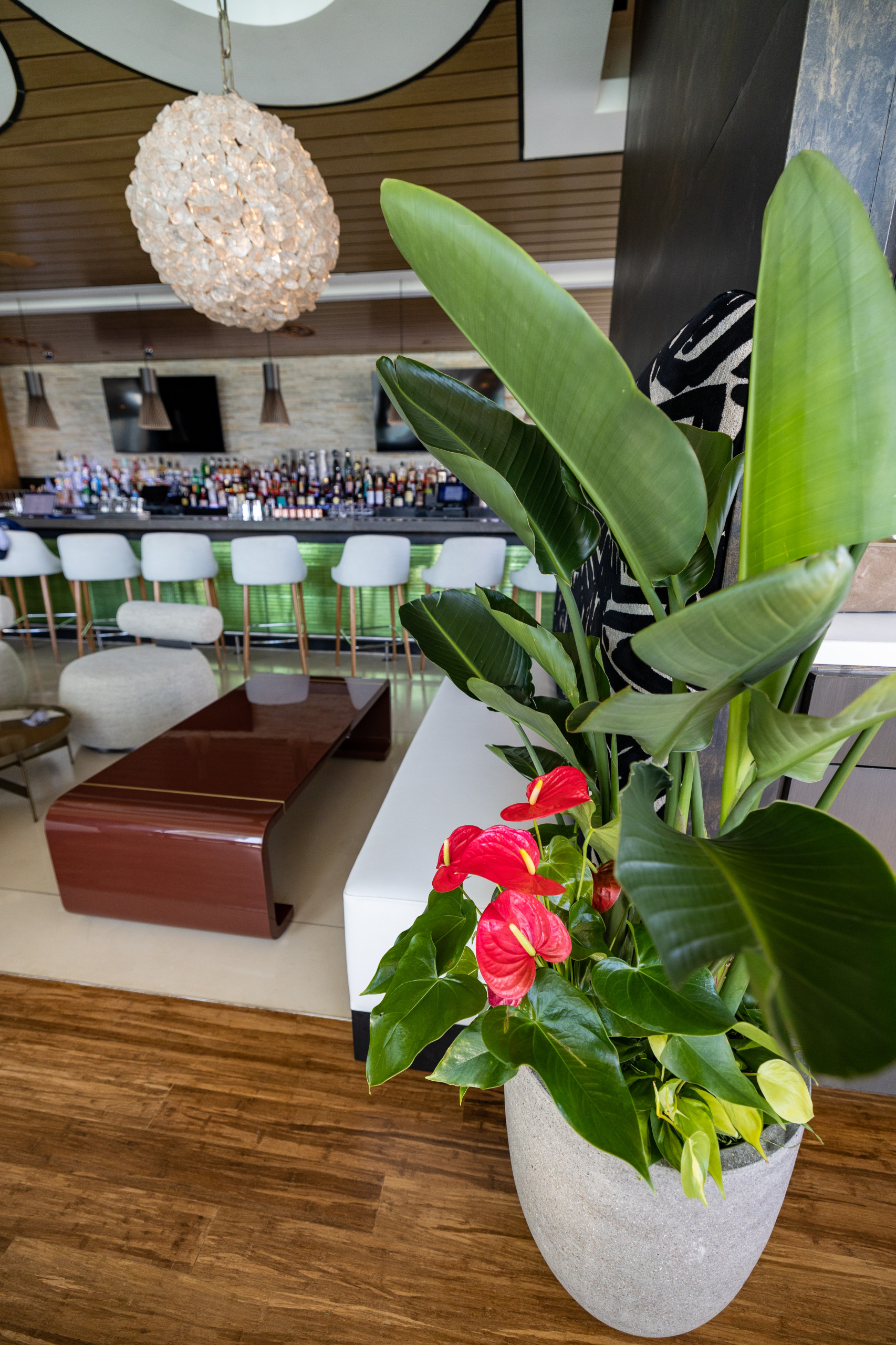Laguna Pool House & Kitchen