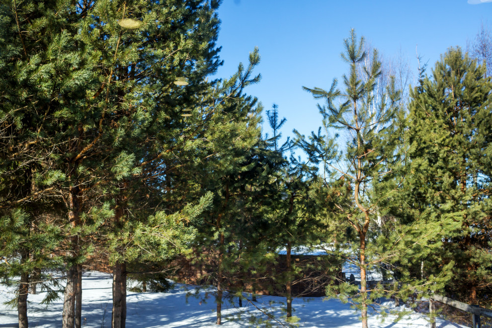 Дизайн и внутренняя отделка дома из бруса