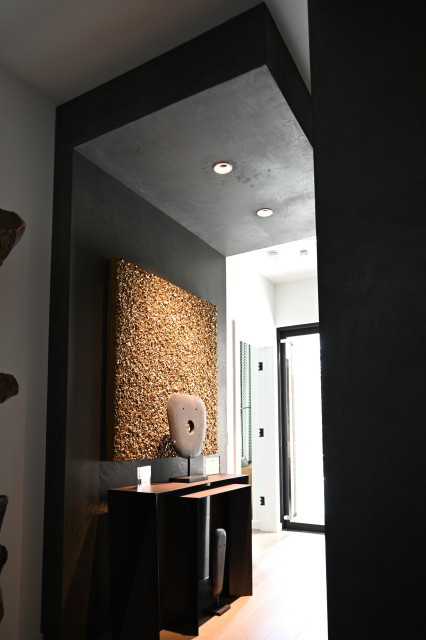 Plasters contemporary-hallway-and-landing