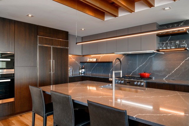 Palm Avenue modern-kitchen
