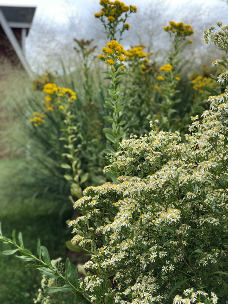 Inspiration for a large rustic drought-tolerant, privacy and full sun backyard concrete paver landscaping.