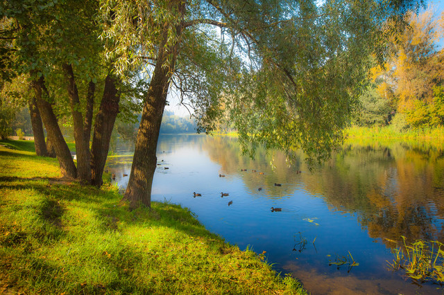 Psel River Tranquility, Aluminum, 18"x12" - Contemporary - Prints And ...