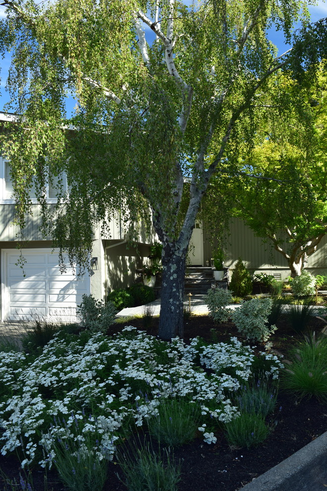 Entry pathway and steps