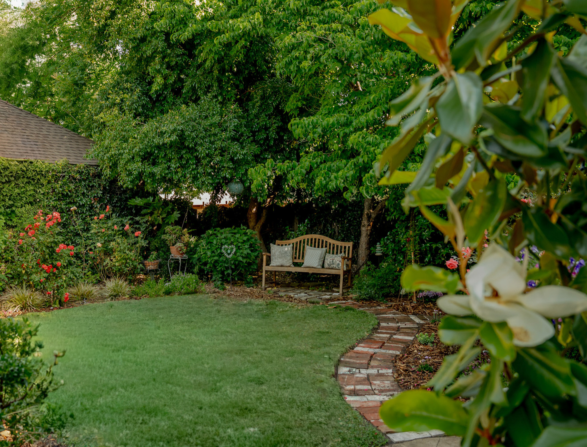 Backyard Garden with Brick Pathway, Bench, and Dogwood Canopy