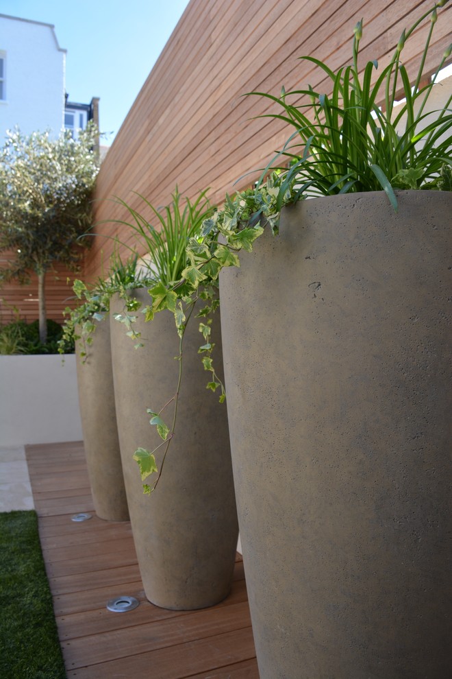 This is an example of a small contemporary back full sun garden in London.