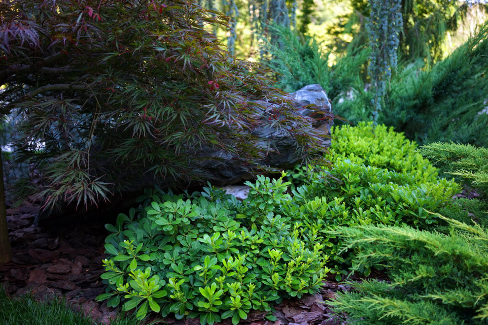 Лазурный Берег Сочи