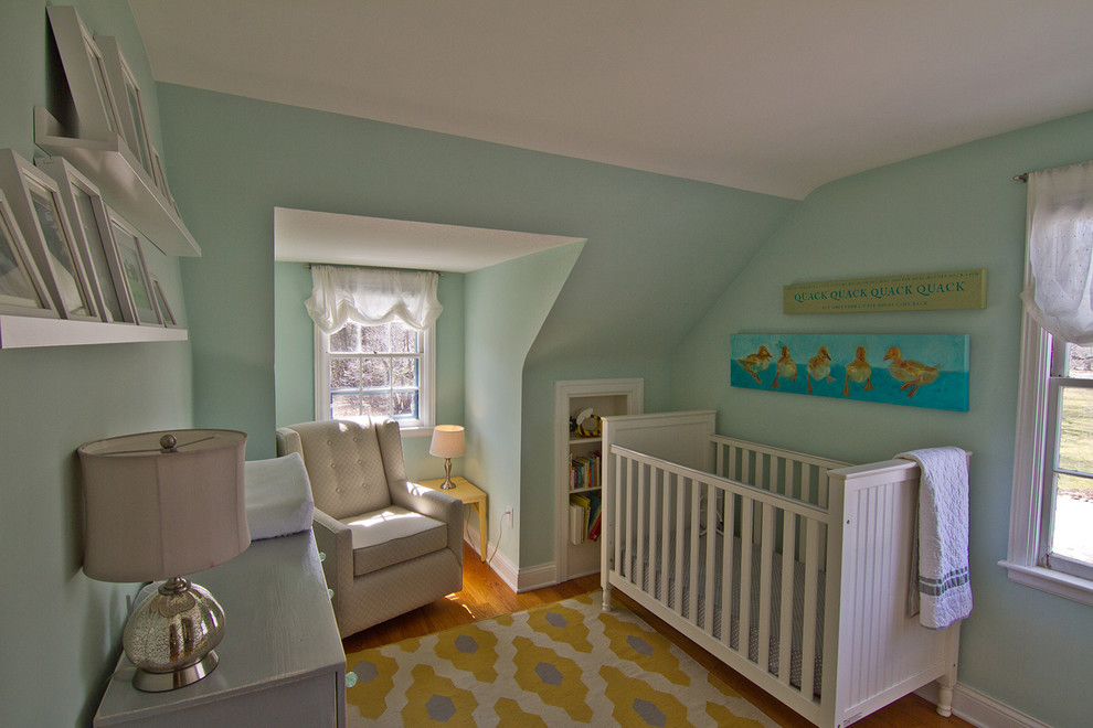 Design ideas for a small transitional nursery in Detroit.