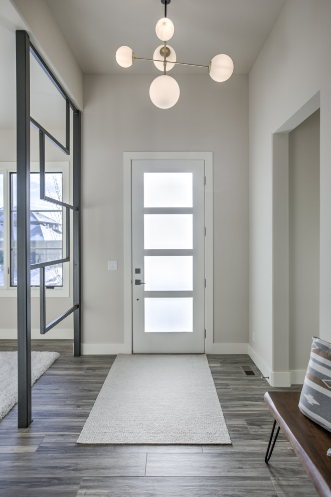 Modern foyer in Omaha with a single front door.