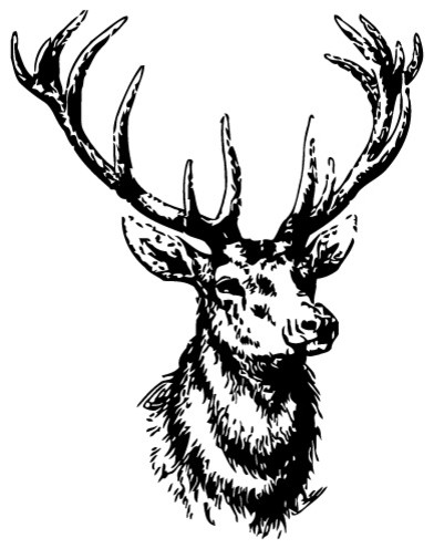 Z001 Wall Vinyl Sticker Decals Mural Kids Animal Deer Buck Elk Cute Horns 