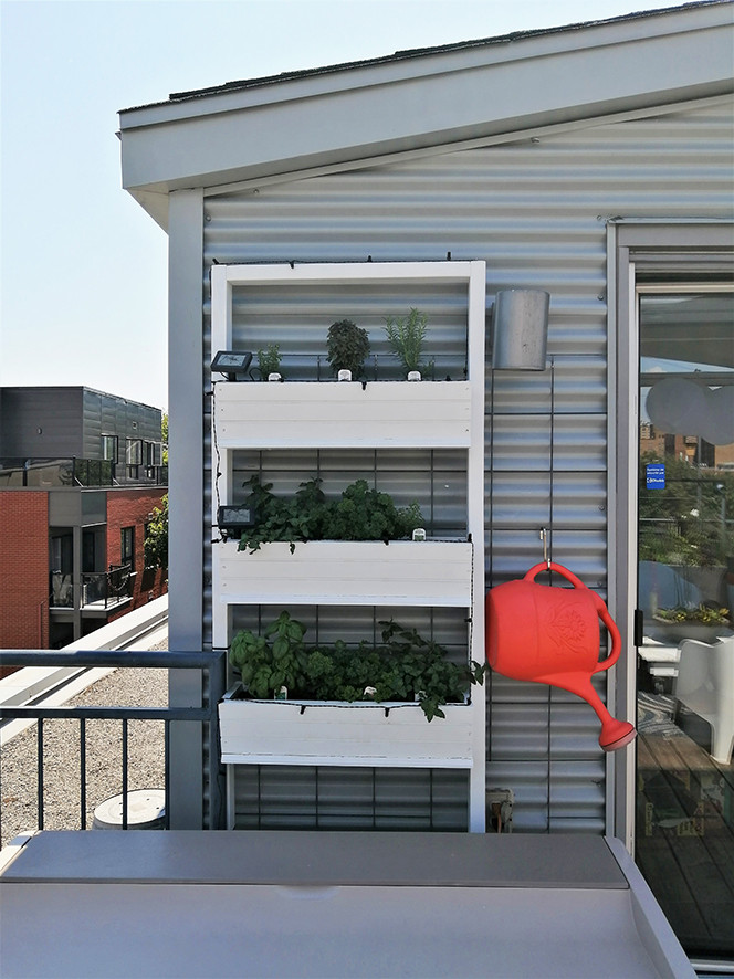 Inspiration pour une terrasse sur le toit design avec une pergola et un garde-corps en métal.