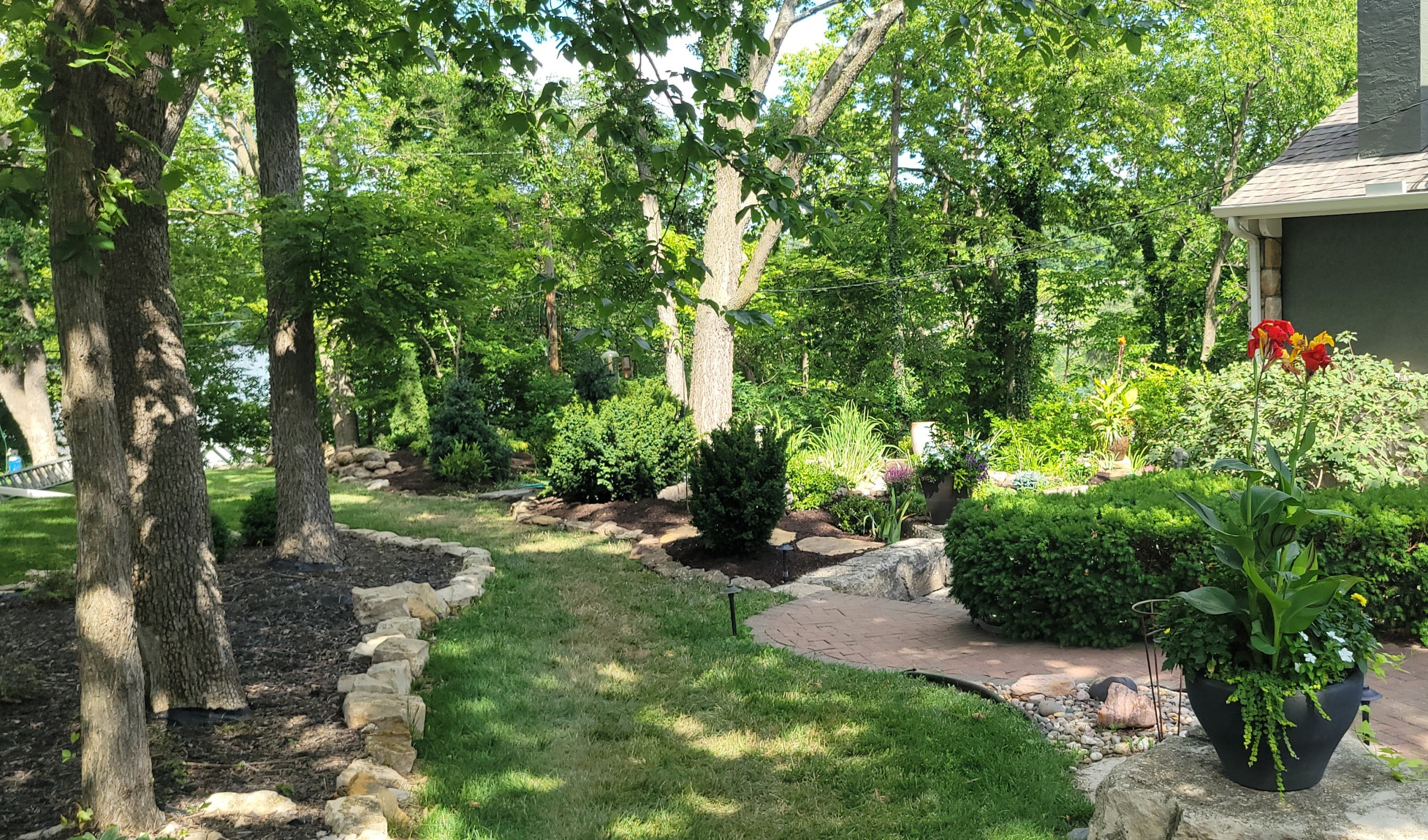 2025 Garden Highlights