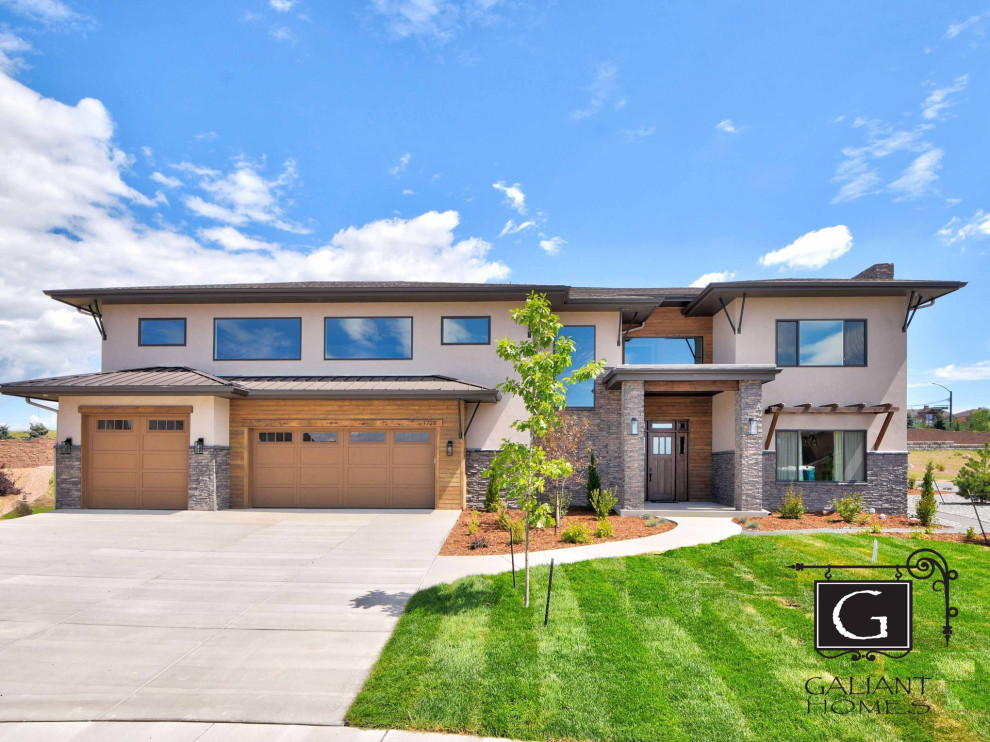 Trendy home design photo in Denver