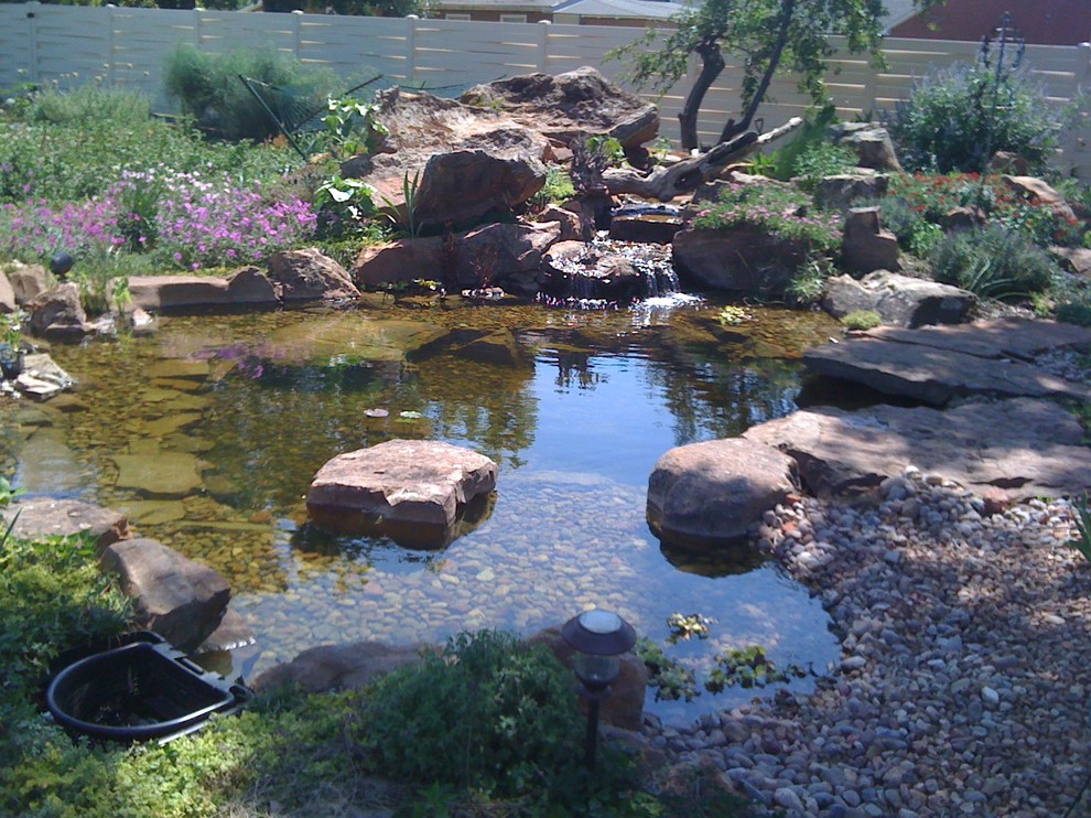 Ecosystem Ponds and Water Gardens By Continental Ponds Traditional