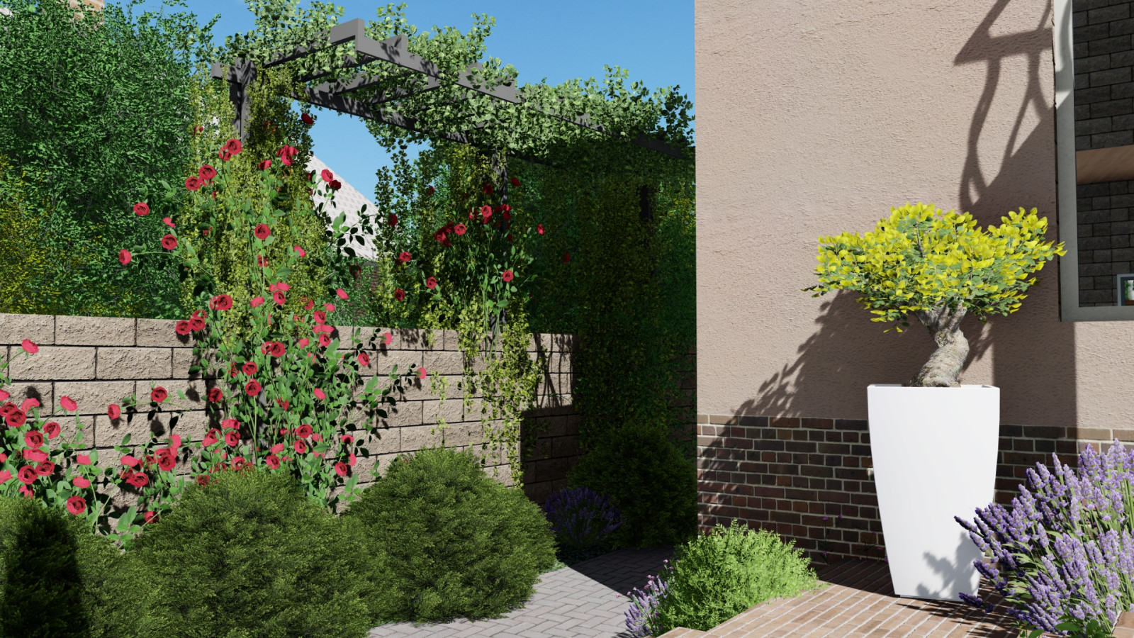 Проект благоустройства в Центральном районе г.Сочи