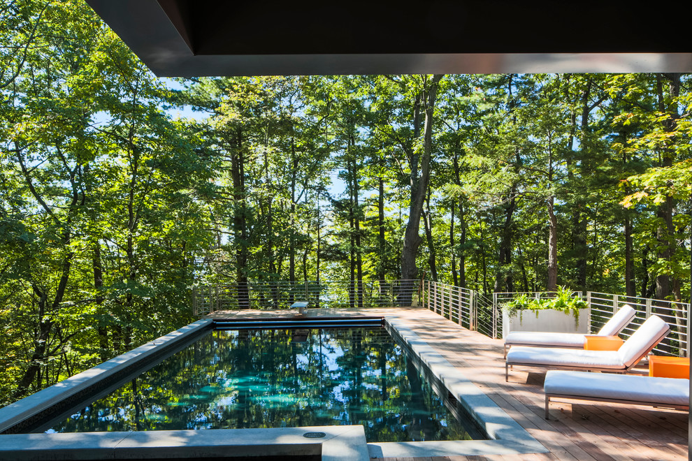 Photo of a large contemporary rooftop rectangular natural pool in Other with a hot tub and decking.
