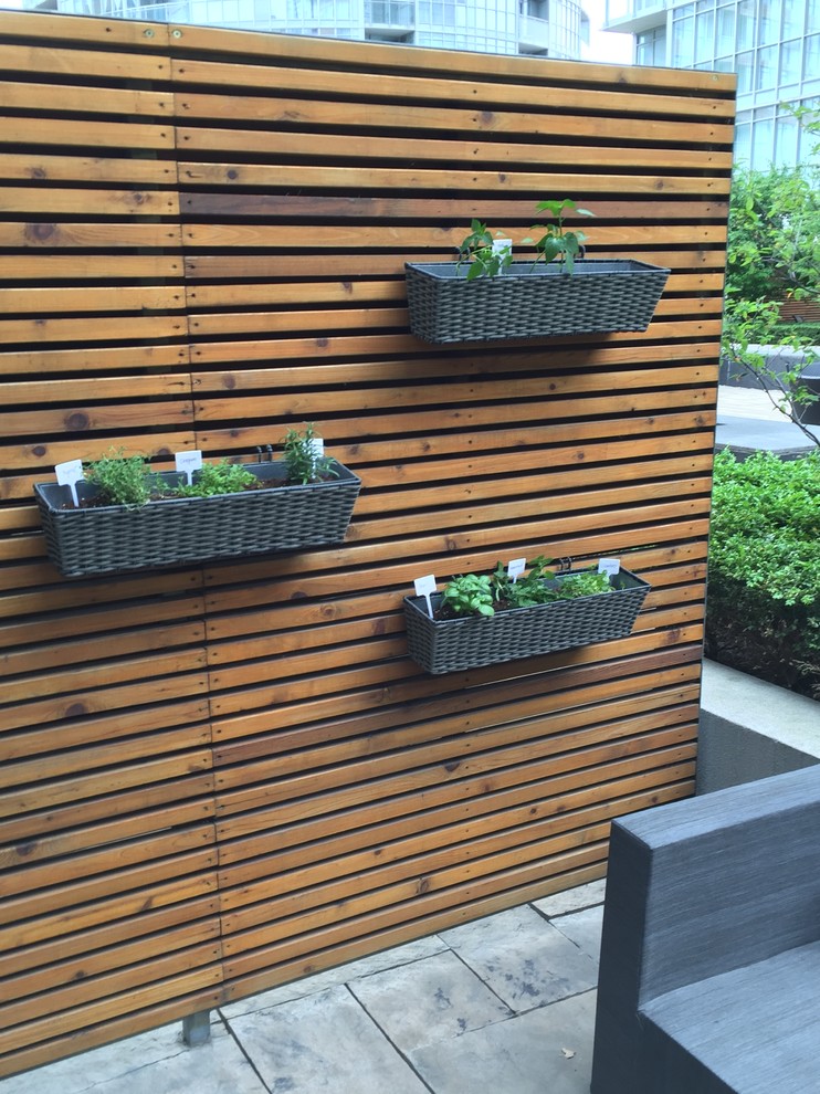 This is an example of a small modern backyard patio in Toronto with a container garden, no cover and concrete pavers.