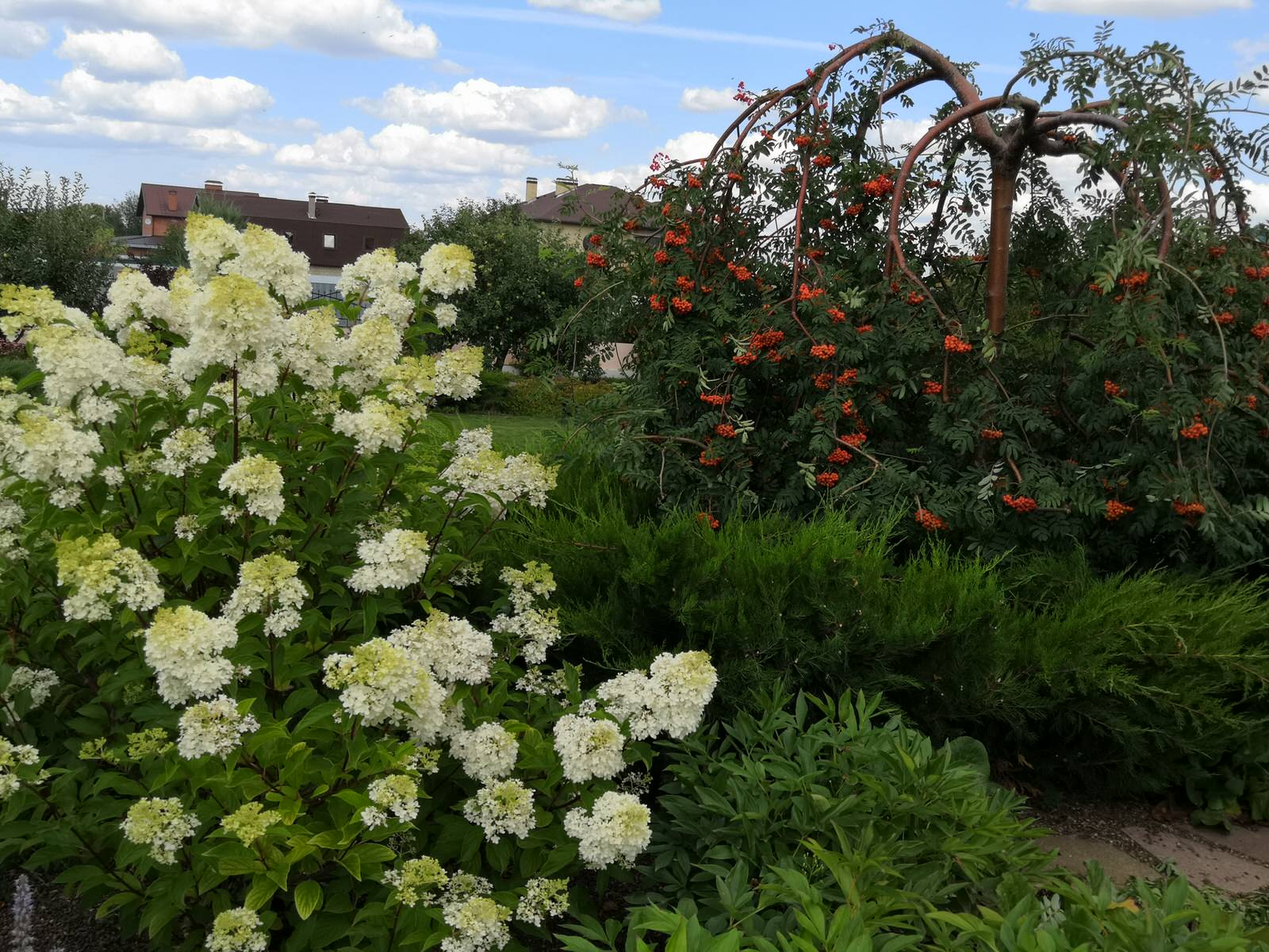 Сад на двух ярусах