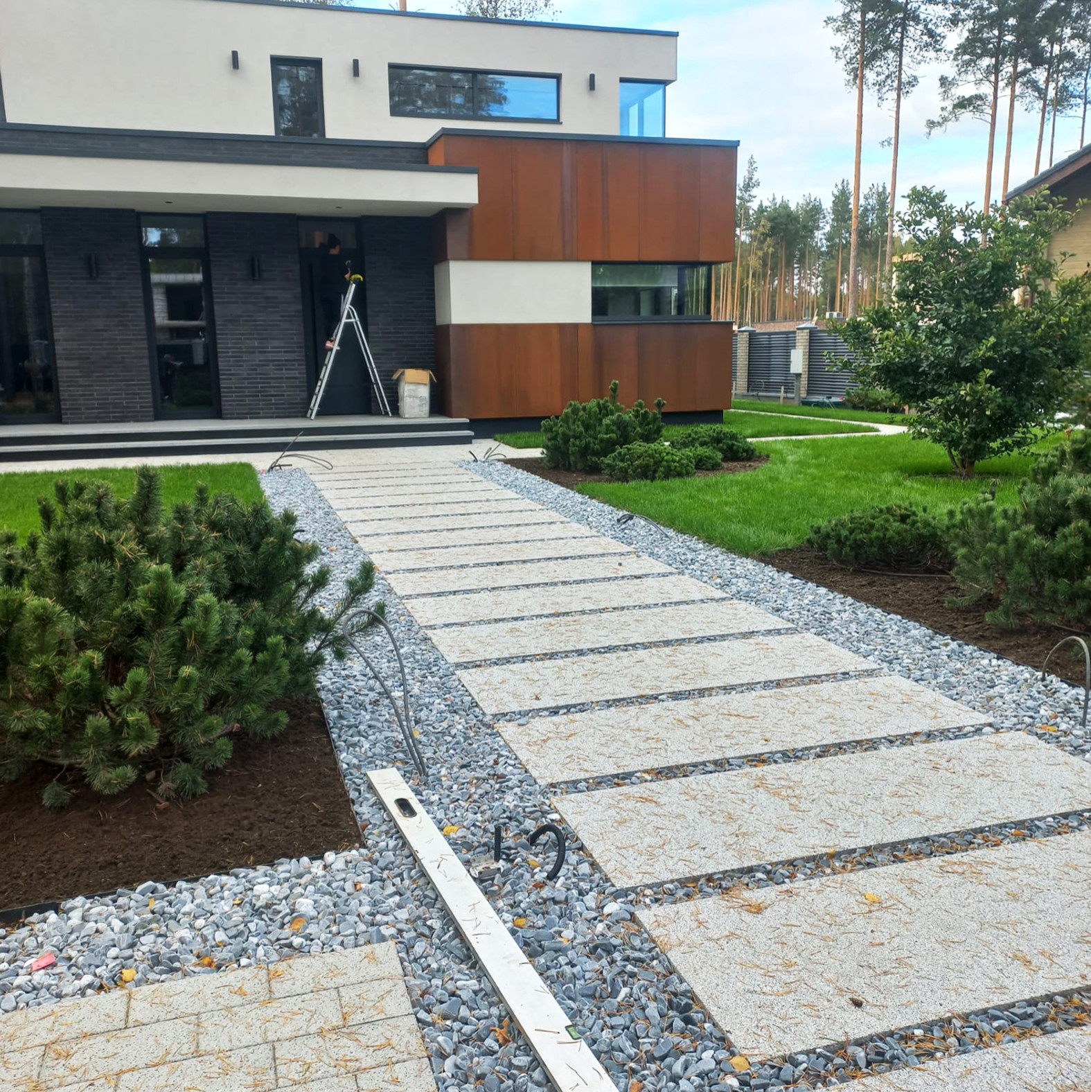 Текущий проект: Репино-Парк