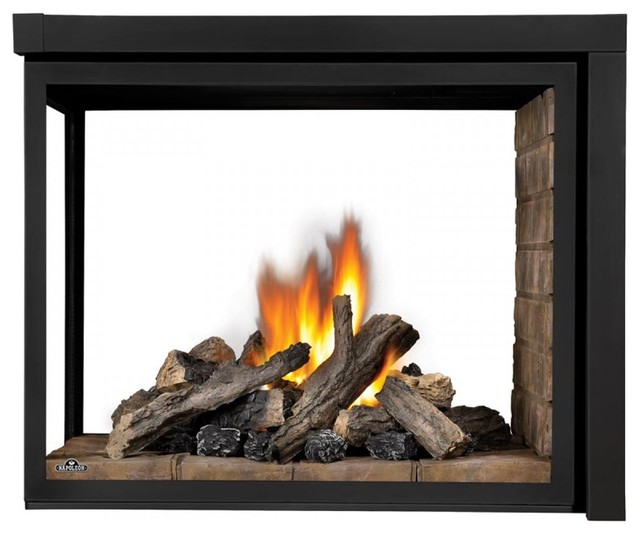 Napoleon Ascent MultiView Direct Vent Gas Fireplace Up to 30 000 BTUs